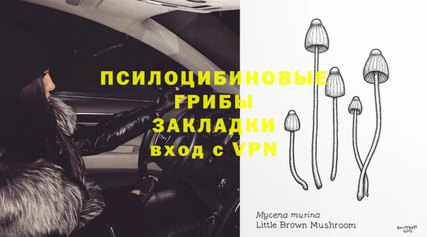 spice Белоозёрский
