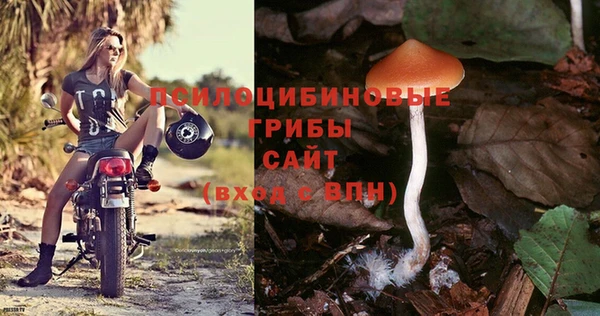 apvp Беломорск