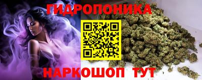 стаф Заволжье