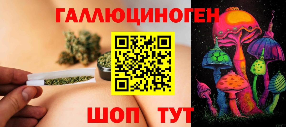 Галлюциногенные грибы Psilocybe Сердобск